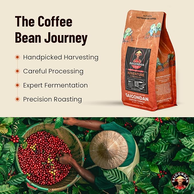 Vietnamese Coffee Beans – Saigondan Adventure 100% Robusta Light Espresso Roast Whole Bean – Premium Single Origin, Direct Trade Vietnamese Coffee – 12 oz