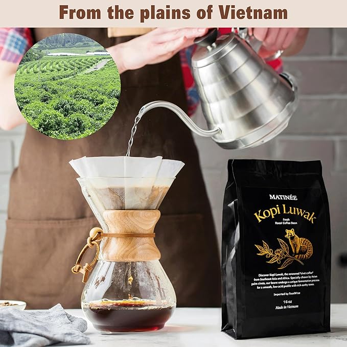 MATINÉE Wild Kopi Luwak Coffee Beans, Medium Roast, Whole Bean Coffee, Sustainably Sourced From Vietnam, 16oz / 454 Grams