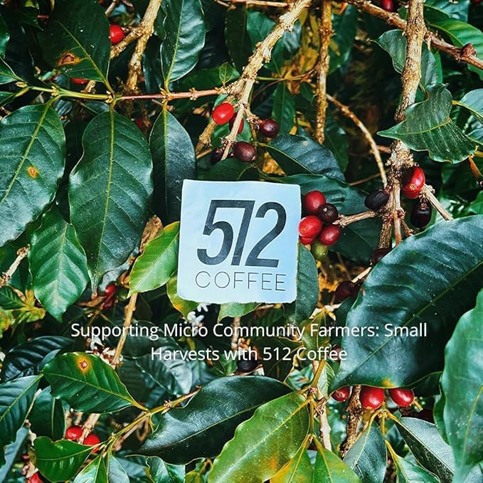 512 Coffee Specialty Colombia Medium Roast – Premium Single Origin Whole Beans with Chocolate, Citrus & Nutmeg Notes – Fresh Roasted for Drip & Filter Brewing