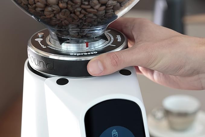 Fiorenzato All Ground Burr Grinder/Coffee Grinder for Home/Burr Coffee Ginder/Electric Coffee Ginder/Coffee Bean Grinder - 64mm flat burrs with Container - Made in Italy, Standard, White