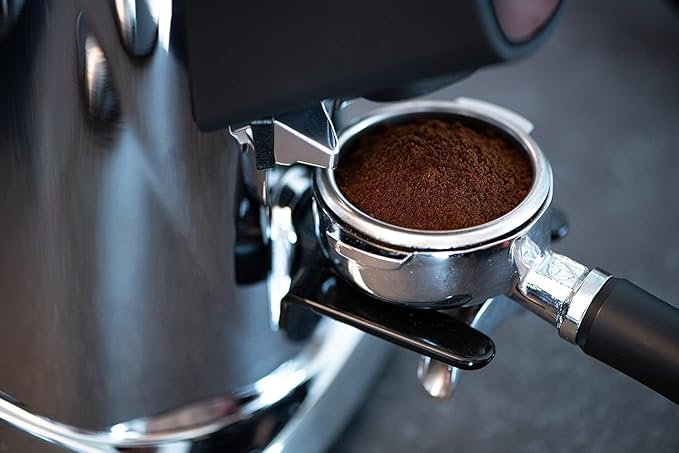 Fiorenzato All Ground Burr Grinder/Coffee Grinder for Home/Burr Coffee Ginder/Electric Coffee Ginder/Coffee Bean Grinder - 64mm flat burrs with Container - Made in Italy