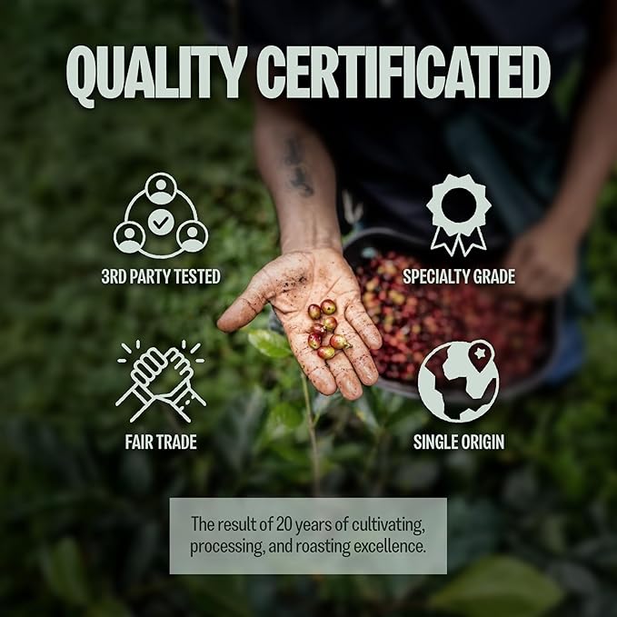 BAZAN COFFEE Vietnamese Fine Robusta Whole Bean Medium Roast - Specialty Single Origin Anaerobic Fermented Coffee Beans, High Caffeine, Low Acid for Espresso/Phin - Durian, Honey & Caramel Notes, 12oz