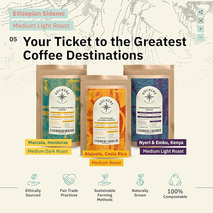 Ethiopian Sidama Coffee Beans - Single Origin Medium Light Roast Beans, Freshly Roasted To Order Whole Bean Coffee, Specialty Grade, Non-GMO