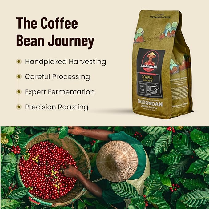 Vietnamese Coffee Beans – Saigondan Joyful 100% Arabica Whole Bean Medium Roast – Premium Single Origin, Direct Trade Vietnamese Coffee – 12 oz