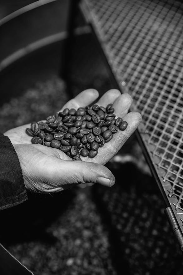Bristot 100% Arabica Italian Espresso Beans – Medium Roast Coffee – Smooth & Aromatic with Notes of Biscuit, Caramel & Toasted Bread – 1.1 lb (500 g)