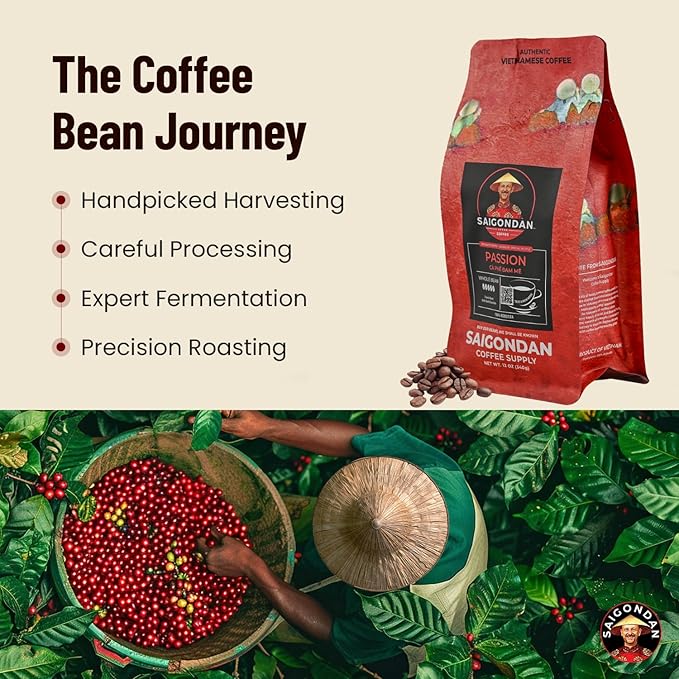 Vietnamese Coffee Beans – Saigondan Passion 100% Robusta French Roast Whole Bean – Premium Single Origin, Direct Trade Vietnamese Coffee – Bold Dark Chocolate Flavor – 12 oz