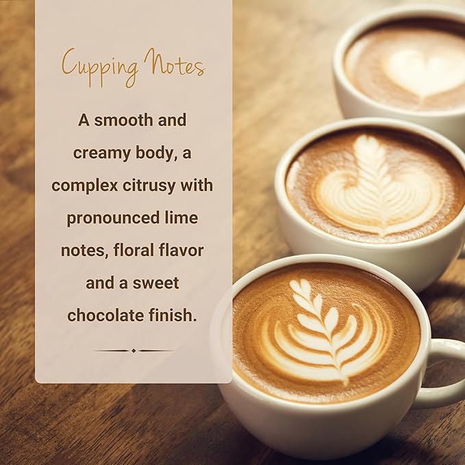 Ethiopian Yirgacheffe Coffee, Whole Bean Coffee, Premium Ethiopia Yirgacheffe Single Origin Fresh Roasted Coffee Beans | Cubico Coffee | 12 Ounce Bag