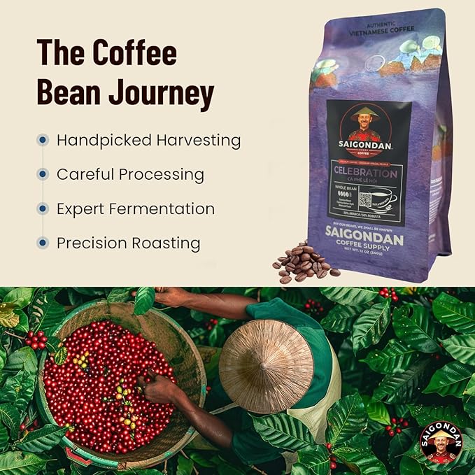 Vietnamese Coffee Beans – Saigondan Celebration Italian Style Espresso Roast Whole Bean – 50% Arabica 50% Robusta – Premium Single Origin, Direct Trade Vietnamese Coffee – 12 oz
