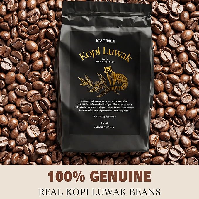 MATINÉE Wild Kopi Luwak Coffee Beans, Medium Roast, Whole Bean Coffee, Sustainably Sourced From Vietnam, 16oz / 454 Grams