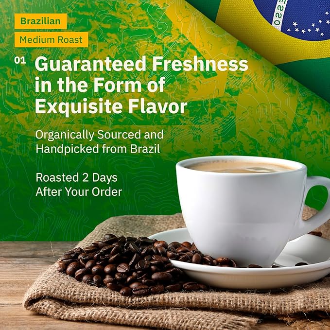 Brazilian Santos Medium Roast Coffee Beans - Single Origin Arabica Coffee Beans, Freshly Roasted to Order, Ground Coffee Low Acid with Smooth Cocoa Notes, Specialty Grade and Fair Trade - 12 oz