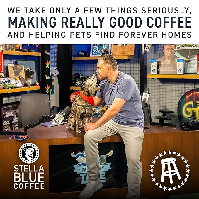 Stella Blue Whole Bean Coffee, Positive Vibes Blend, Light Roast Vanilla, Fruity Notes 100% Arabica Beans, Ethically Sourced from Central and South America, Smooth Balanced, 12oz Bag