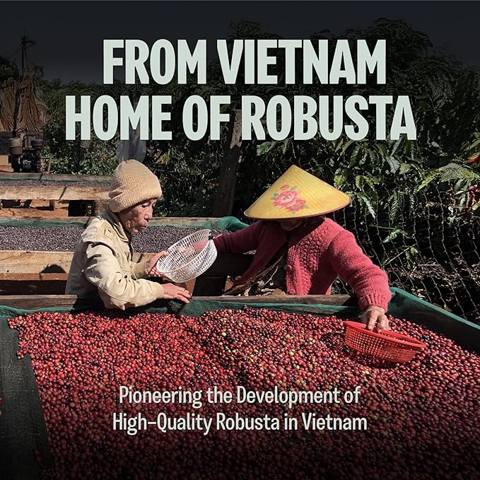 BAZAN COFFEE Vietnamese Fine Robusta Whole Bean Medium Roast - Specialty Single Origin Anaerobic Fermented Coffee Beans, High Caffeine, Low Acid for Espresso/Phin - Durian, Honey & Caramel Notes, 12oz