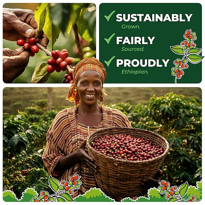 GO RA COFFEE – Ethiopian Roast Whole Bean – Organic Arabica from Ethiopia – Mycotoxin-Free, Single Origin African Beans – Roasted at Source – 500g (17.64 oz) – by Moyee Coffee